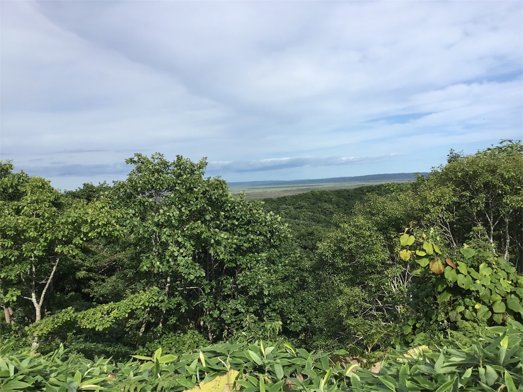 f:id:Appleminto:20180903063826j:image f:id:Appleminto:20180903063826j:image