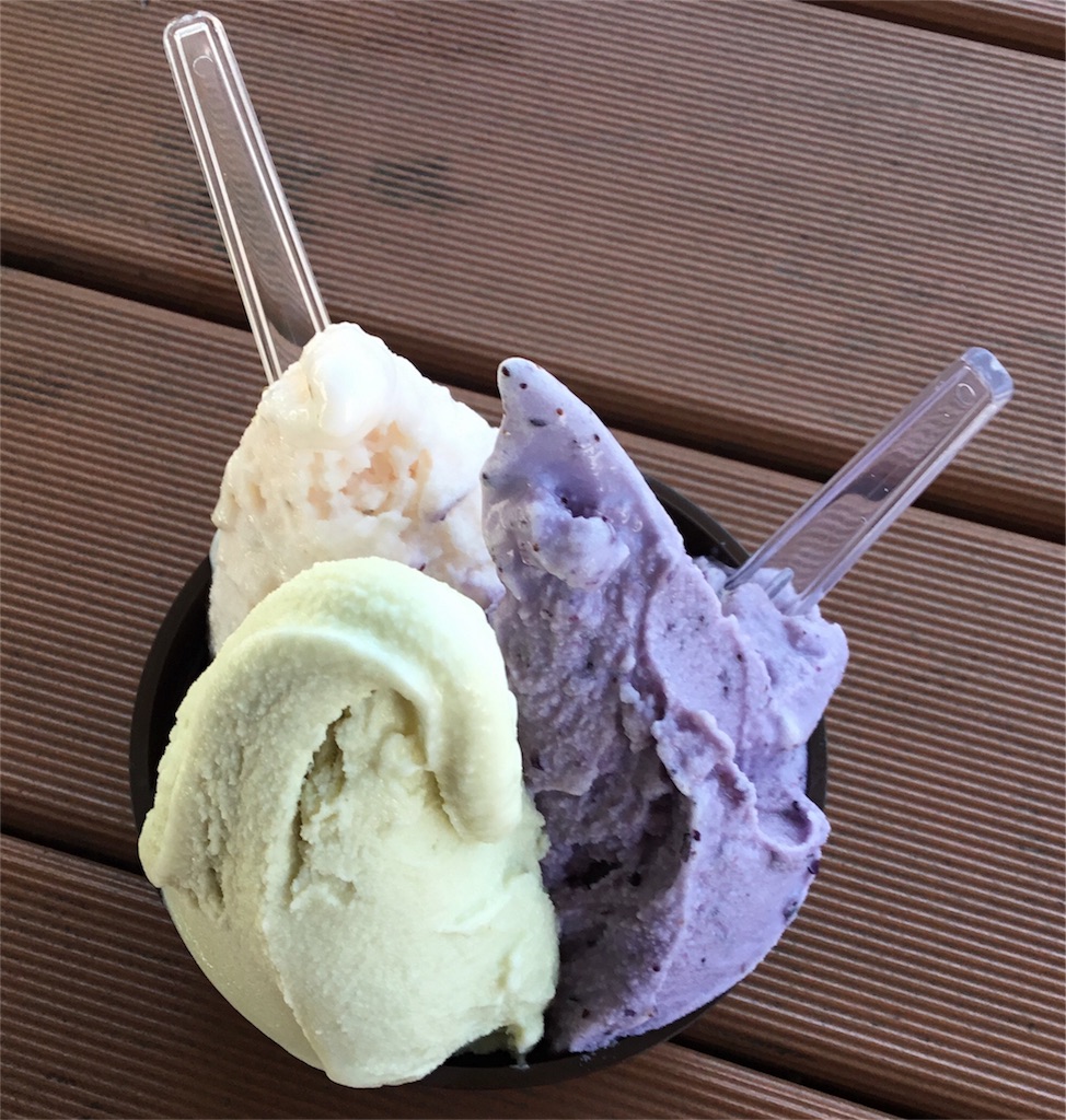 f:id:Appleminto:20180903183523j:image f:id:Appleminto:20180903183523j:image