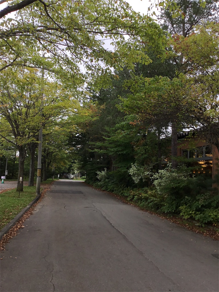 f:id:Appleminto:20180904145414j:image