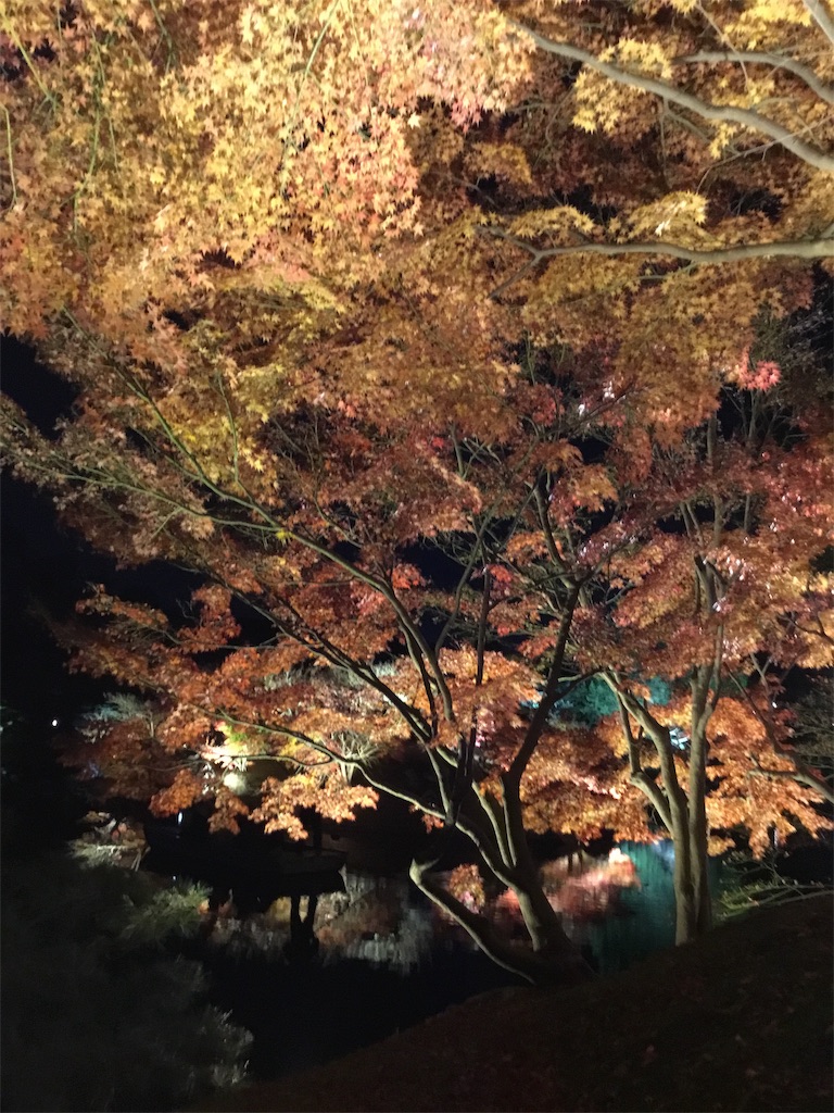 f:id:Appleminto:20181206155948j:image