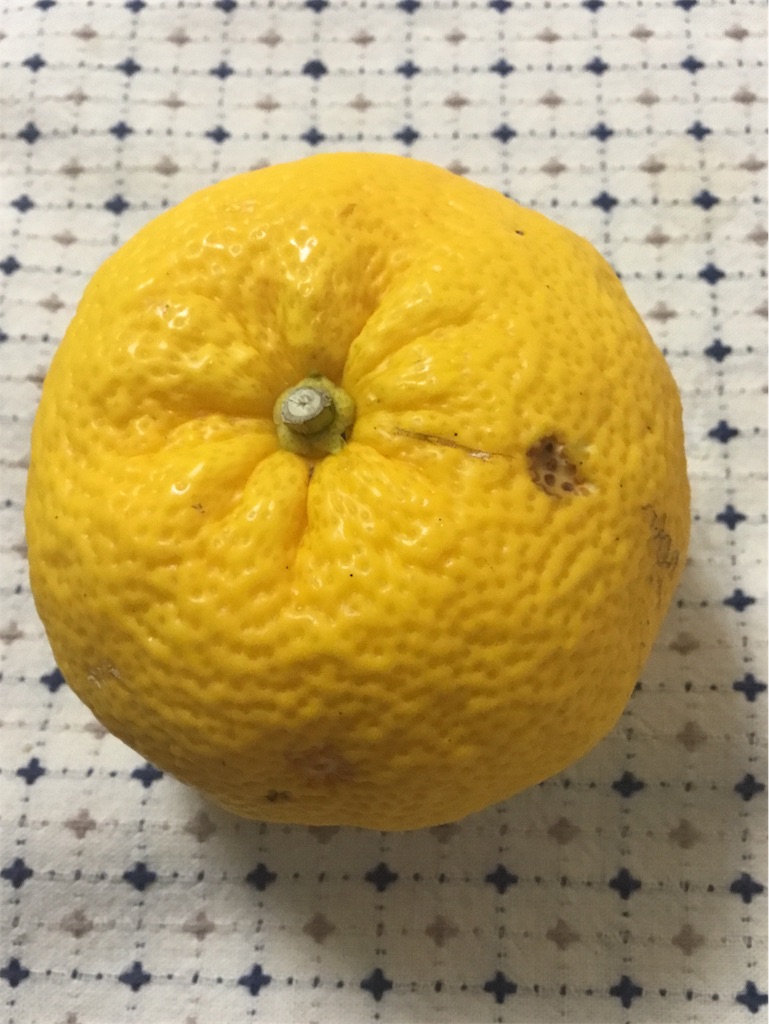 f:id:Appleminto:20181222184517j:image