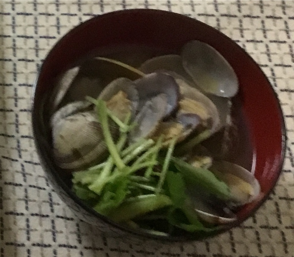 f:id:Appleminto:20190304070711j:image