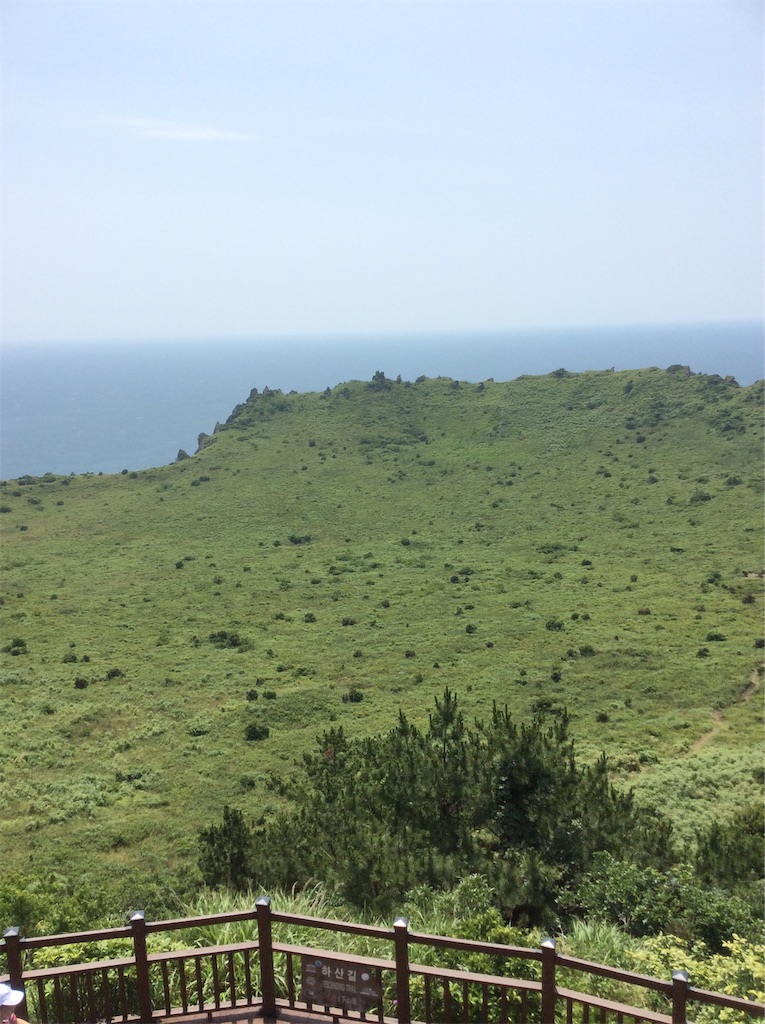 f:id:Appleminto:20190615201321j:image