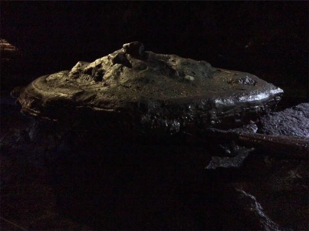 f:id:Appleminto:20190615201436j:image