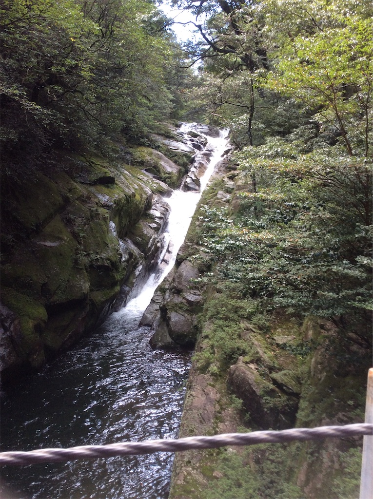 f:id:Appleminto:20191019173649j:image f:id:Appleminto:20191019173649j:image