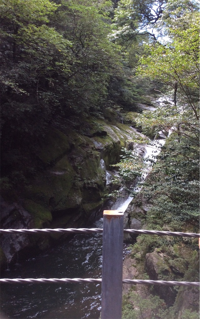 f:id:Appleminto:20191020200413j:image f:id:Appleminto:20191020200413j:image