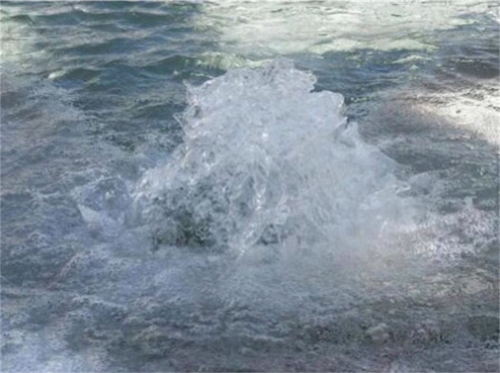 f:id:Appleminto:20220104154532j:image f:id:Appleminto:20220104154532j:image
