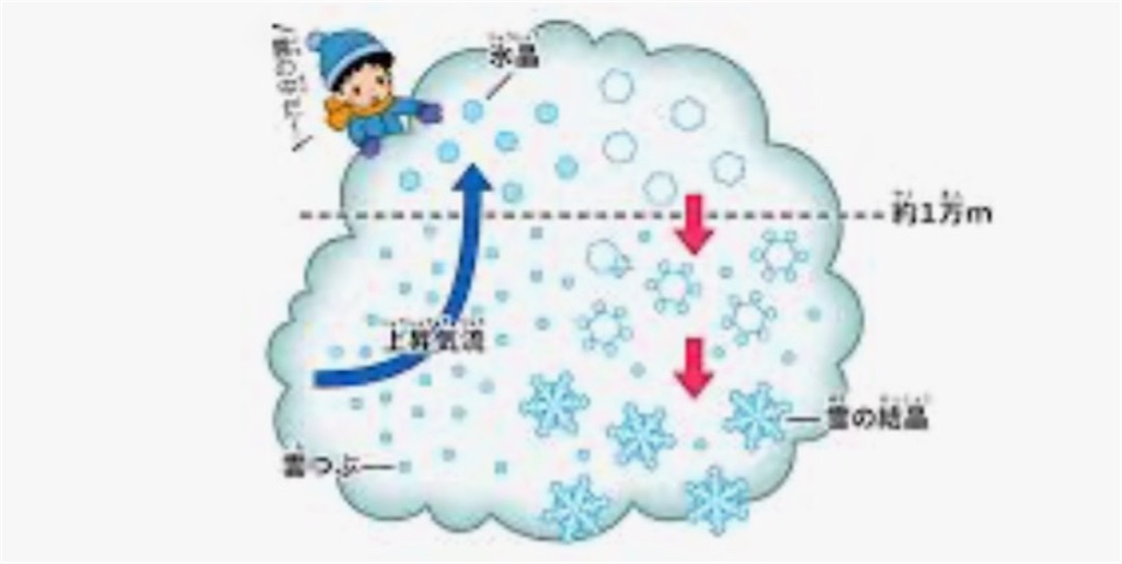 f:id:Appleminto:20230210200657j:image f:id:Appleminto:20230210200657j:image