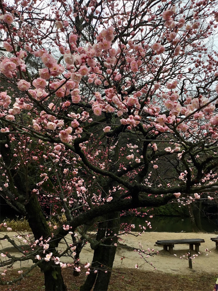 f:id:Appleminto:20230219160613j:image f:id:Appleminto:20230219160613j:image