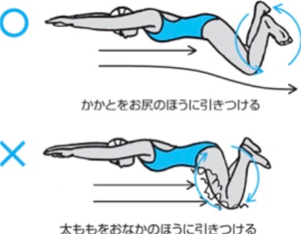 f:id:Appleminto:20230412083923j:image f:id:Appleminto:20230412083923j:image