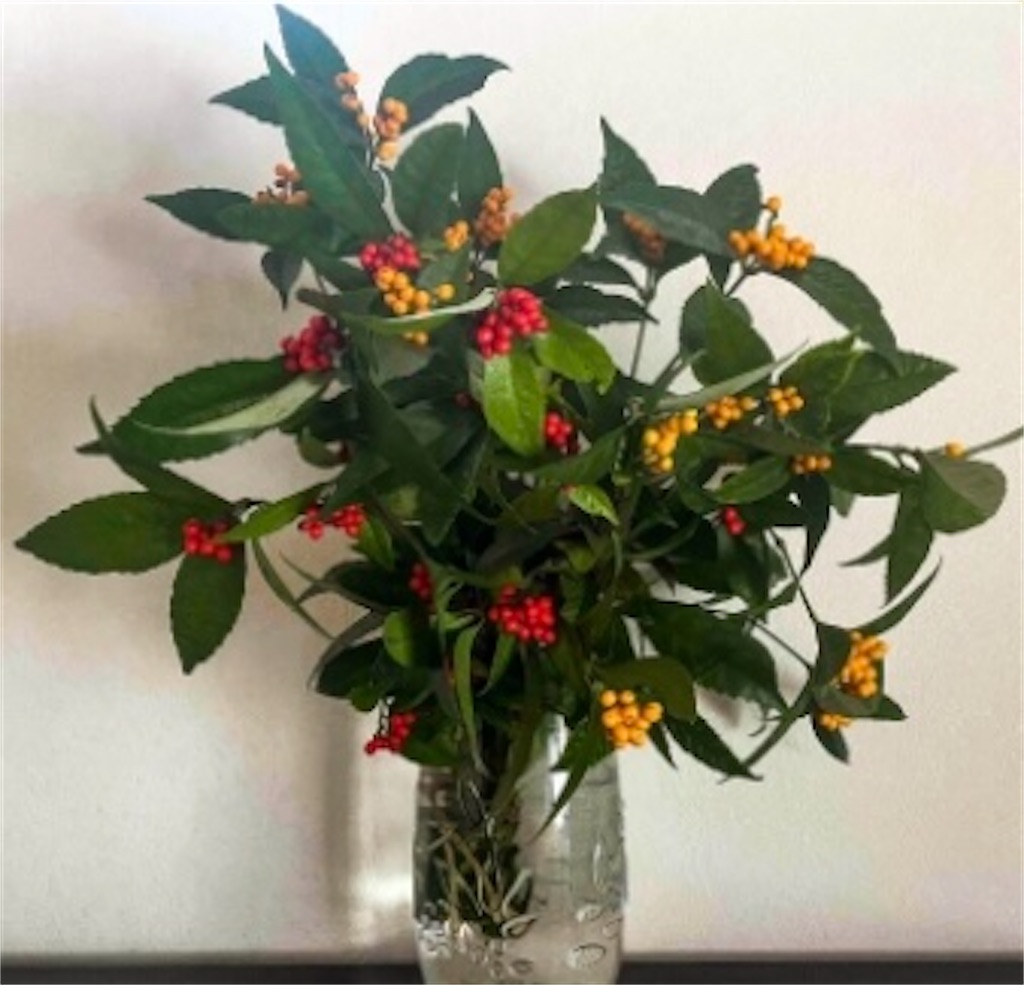 f:id:Appleminto:20231231080802j:image f:id:Appleminto:20231231080802j:image