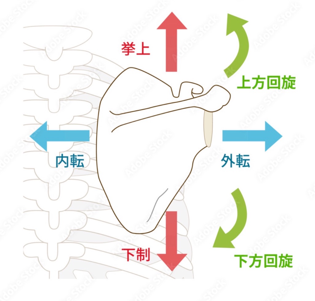 f:id:Appleminto:20250222072014j:image f:id:Appleminto:20250222072014j:image