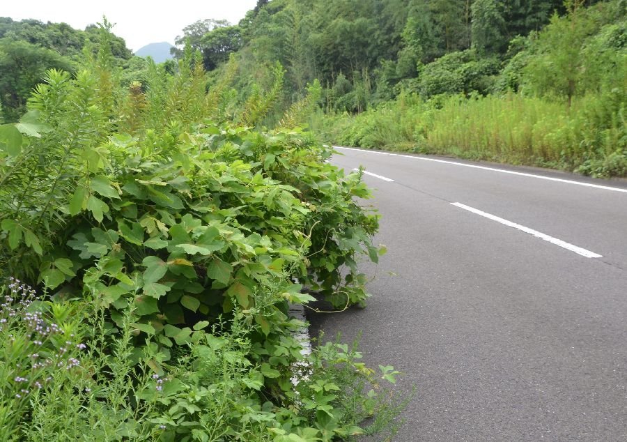 f:id:Apps:20170704105645j:plain f:id:Apps:20170704105645j:plain