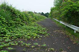 f:id:Apps:20170704113934j:plain f:id:Apps:20170704113934j:plain