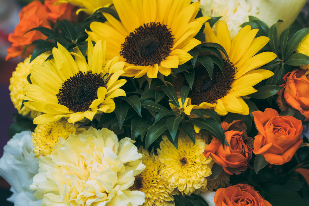 f:id:Aprciliegio:20200813113541j:plain