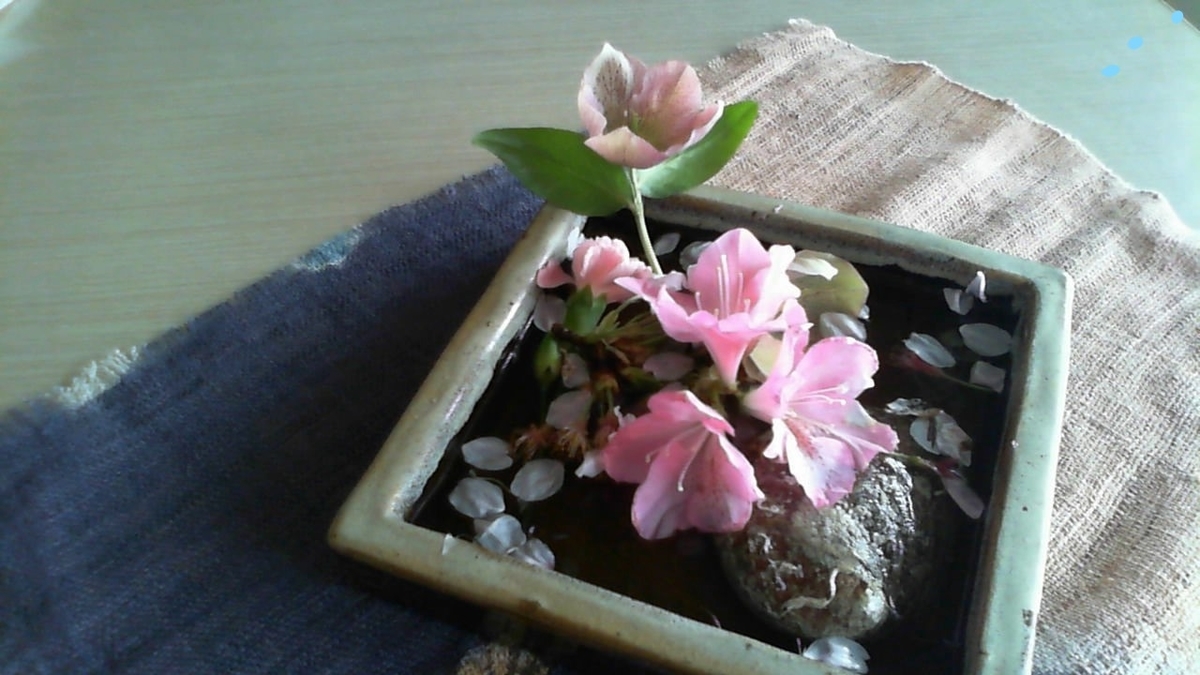 f:id:Apricot2020:20210401113208j:plain