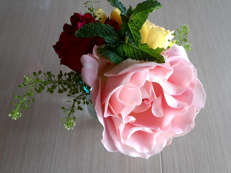 f:id:Apricot2020:20210509121606j:plain