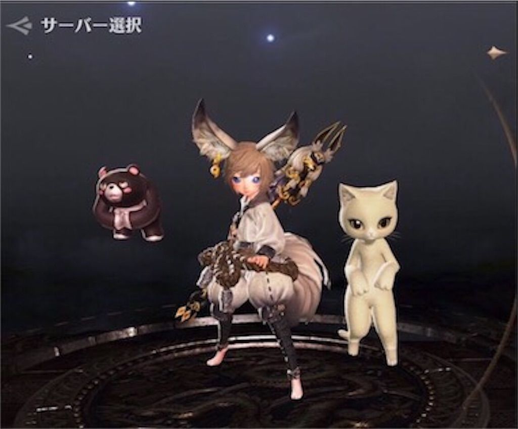 黒い砂漠をプレイした時に思ったこと 感想 The Sky Heaven