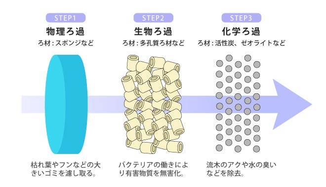 f:id:Aqua-10:20190306220702j:plain