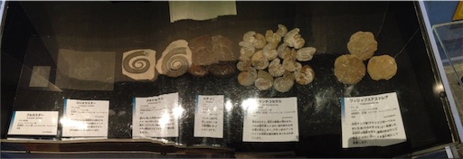 f:id:Aquamarine_tulipano:20160528084438j:image f:id:Aquamarine_tulipano:20160528084438j:image