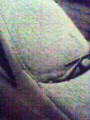 20100202000813