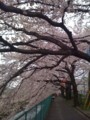 20100404164628
