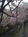 20100404164629