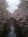 20100404164630