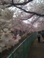 20100404164632