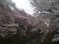 20100404164633
