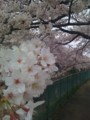 20100404164634