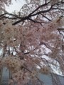 20100404164637