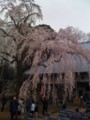 20100404164638