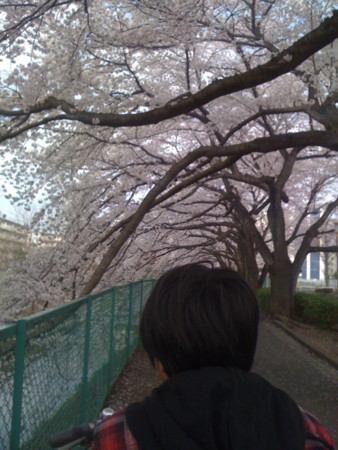 20110410160302