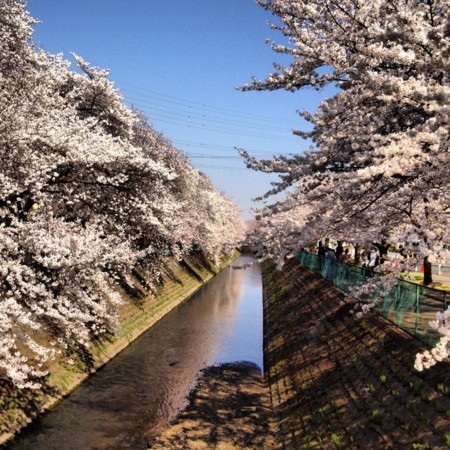20120408172700