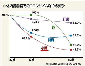 f:id:Arato003:20180520161446p:plain f:id:Arato003:20180520161446p:plain
