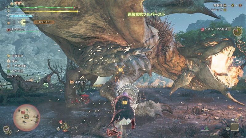 リオレイア