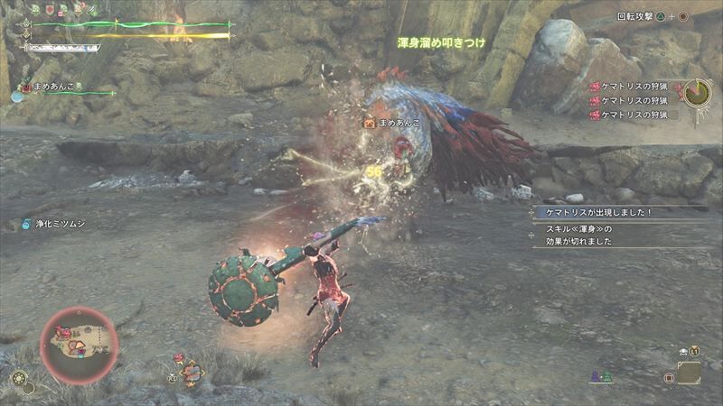 ケマトリス