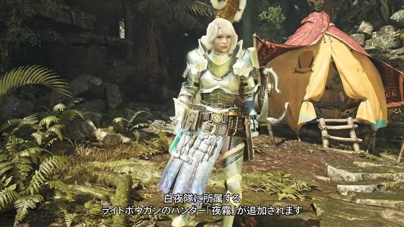 モンハンワイルズ　サポートハンター　夜霧