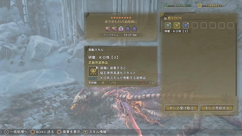 モンハンワイルズ あやめもわからぬ暗病に
