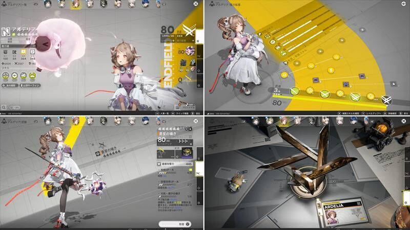 エンドフィールド　アルデリア　育成状況　LV80　武器　凸