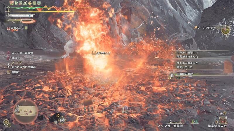 モンハンワイルズ　ゾ・シア