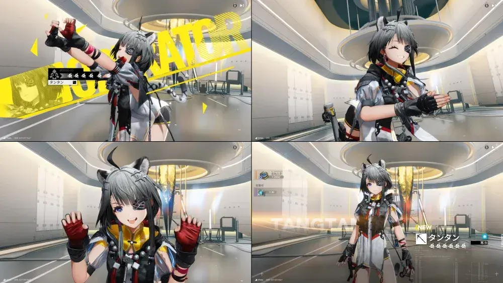 エンドフィールド　タンタン