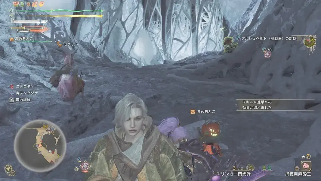 モンハンワイルズ　フリーチャレンジクエスト　歴戦王アルシュベルド