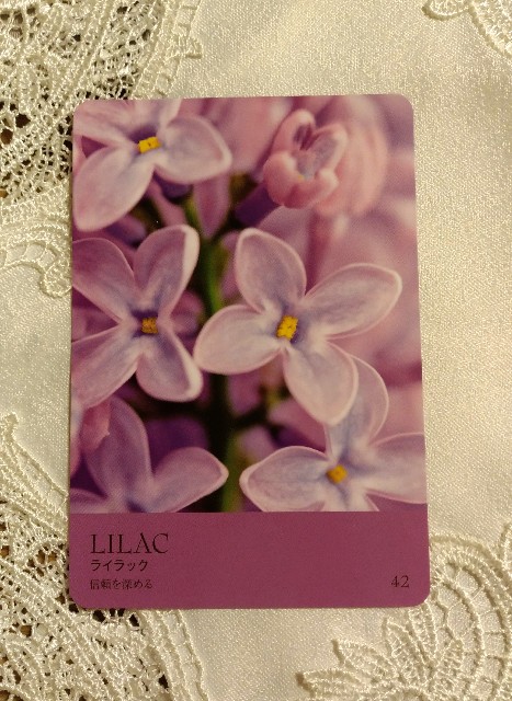 f:id:ArcobalenoYasue:20180408124205j:plain
