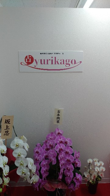 f:id:ArcobalenoYasue:20190323165345j:plain