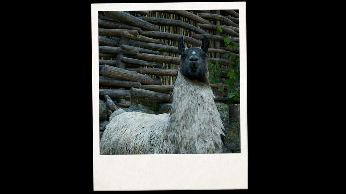 f:id:Arexnort:20210813212431p:plain