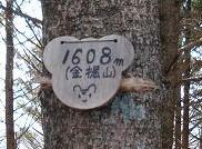 f:id:Argon:20071216224313j:image
