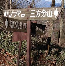 f:id:Argon:20080101210621j:image