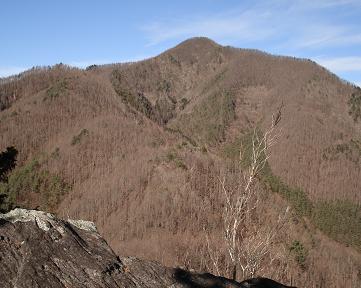 f:id:Argon:20080103211828j:image